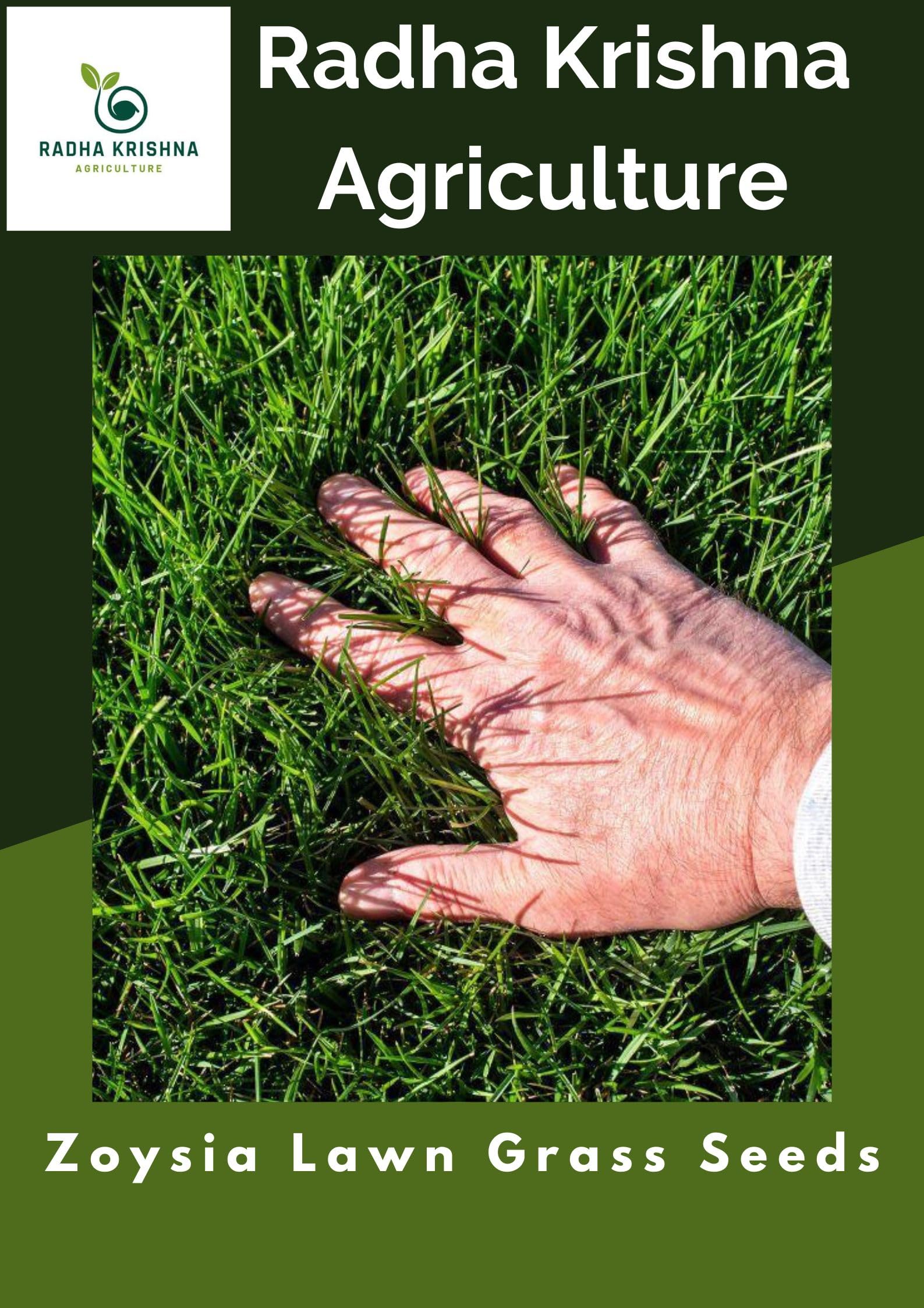 Imported Zoysia Lawn Grass Seeds for Home and Gardening (Pack of 200 gram)-image-49