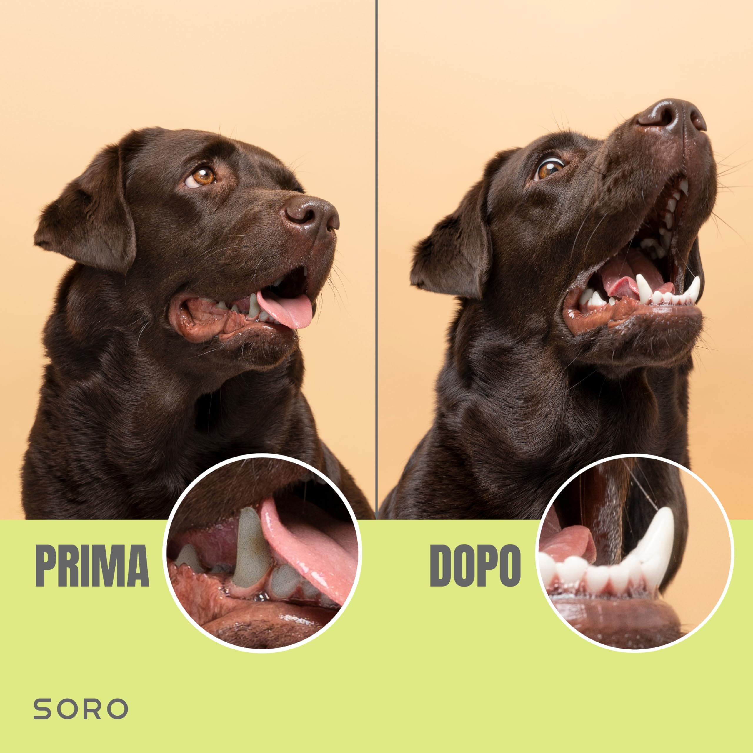 Soro Dentifricio Spray per Cani 100ml Pulizia Denti Alito Cattivo