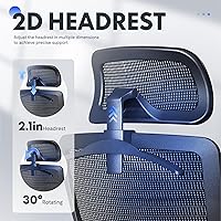 Vista 9 de FLEXISPOT Silla de oficina ergonómica, silla giratoria de malla con respaldo alto, sillas de escritorio de oficina ejecutiva, con soporte lumbar