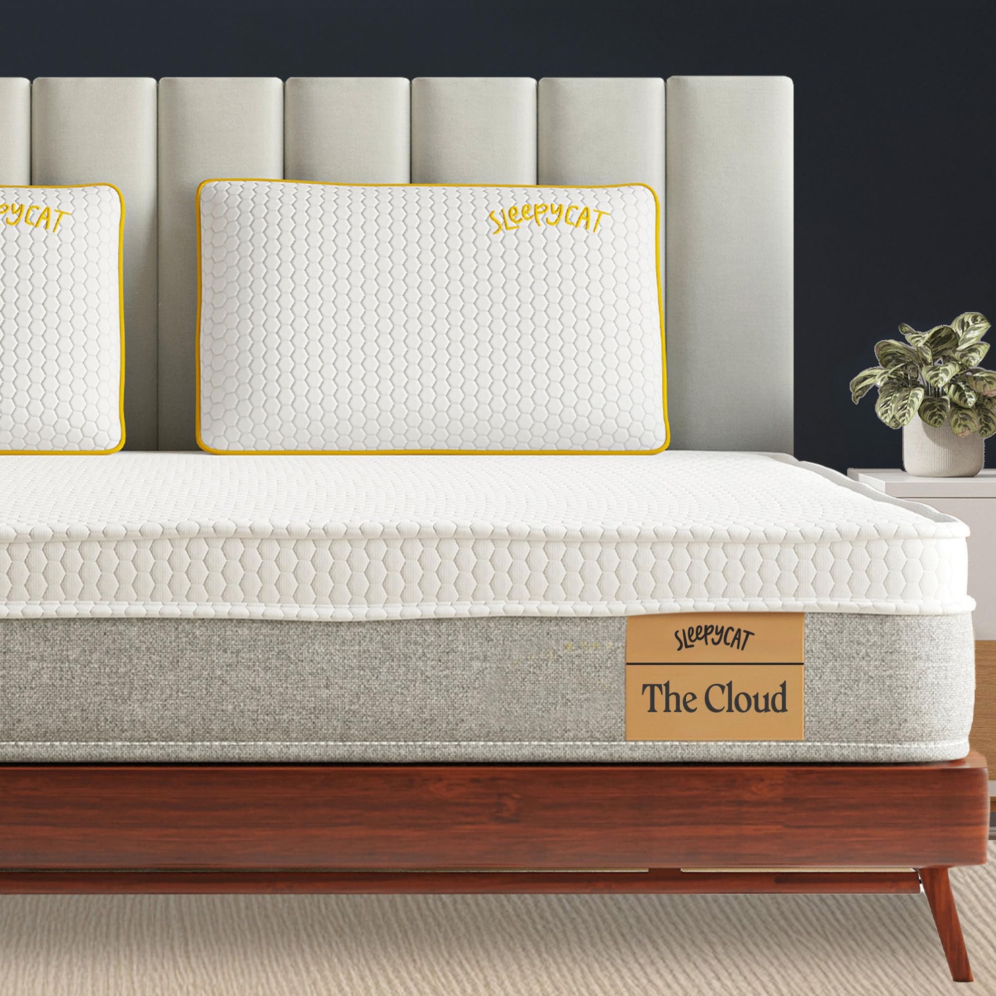 SleepyCat Cloud Mattress | Hotel-Like Quilted EuroTop with Memory Foam & Latex | No-Motion Transfer Pocket Spring | Pressure Relief & Luxurious Feel | King Size (72x72x8 Inches)