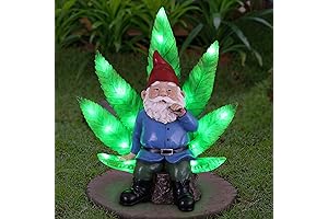 Exhart Marijuana Enthusiast Gnome