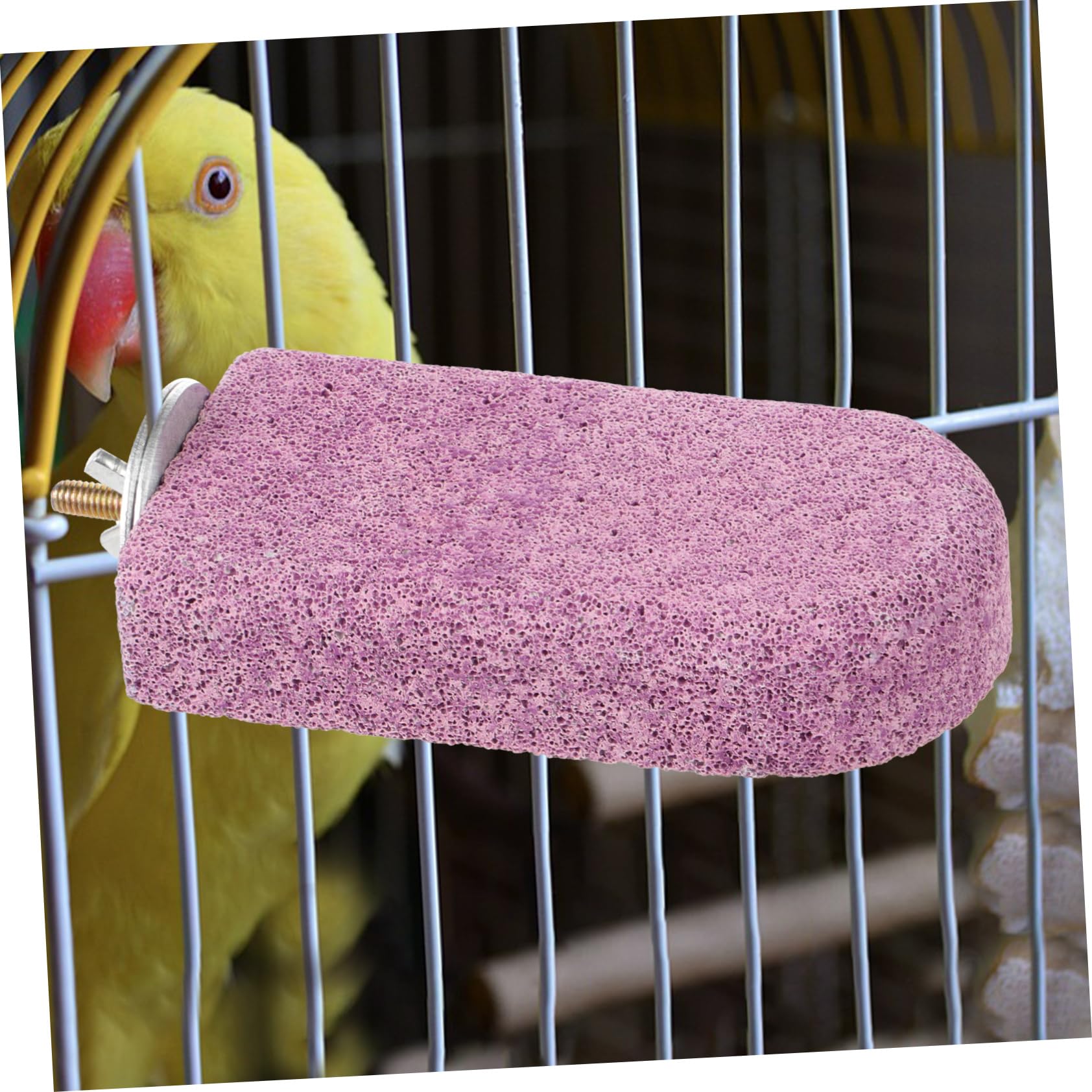VANZACK 5piezas Percha para Aves De Molar para Masticar Estación para Periquitos y Pájaros para Aliviar El Aburrimiento y Ejercicio