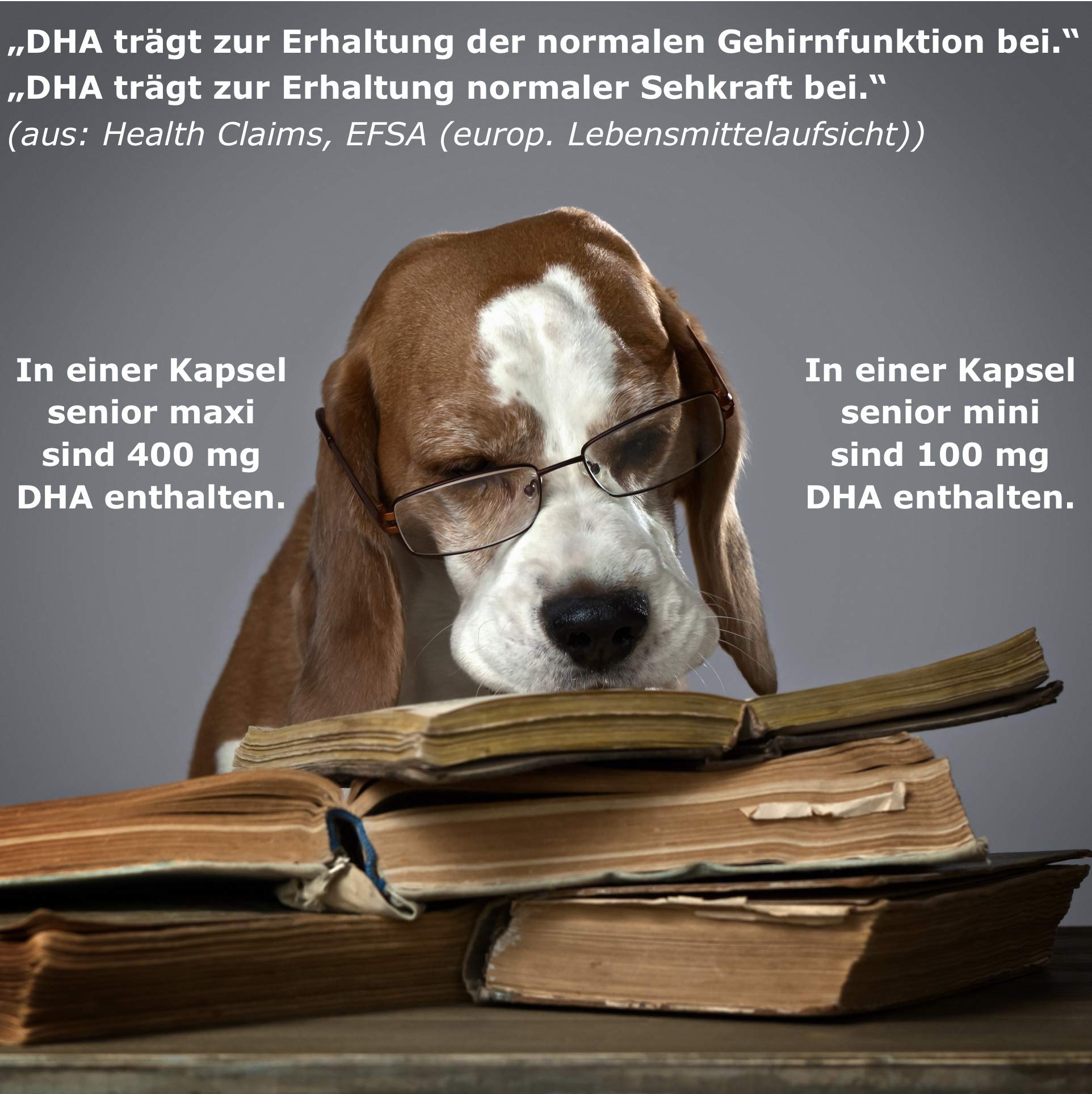 Doppelpack (2 x 100 Kapseln) CaniMove Senior Maxi: Ergänzungsfuttermittel zur Unterstützung von Augen und Gehirn bei Gedächtnisproblemen sowie altersbedingten Augenproblemen (Trübung, Trockenheit).