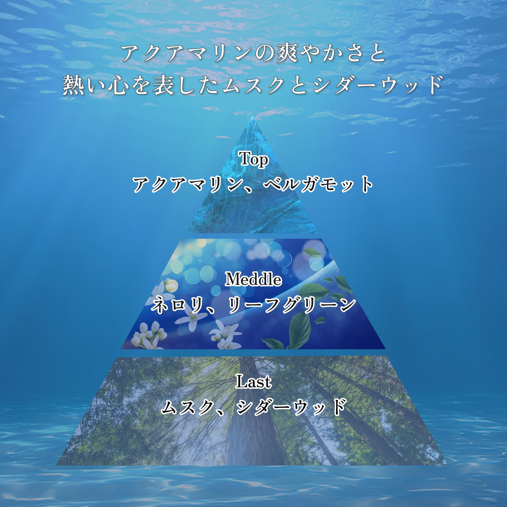 Amazon.co.jp: Buddy 香水 LAST YEAR 今を、青春にする香り : ビューティー