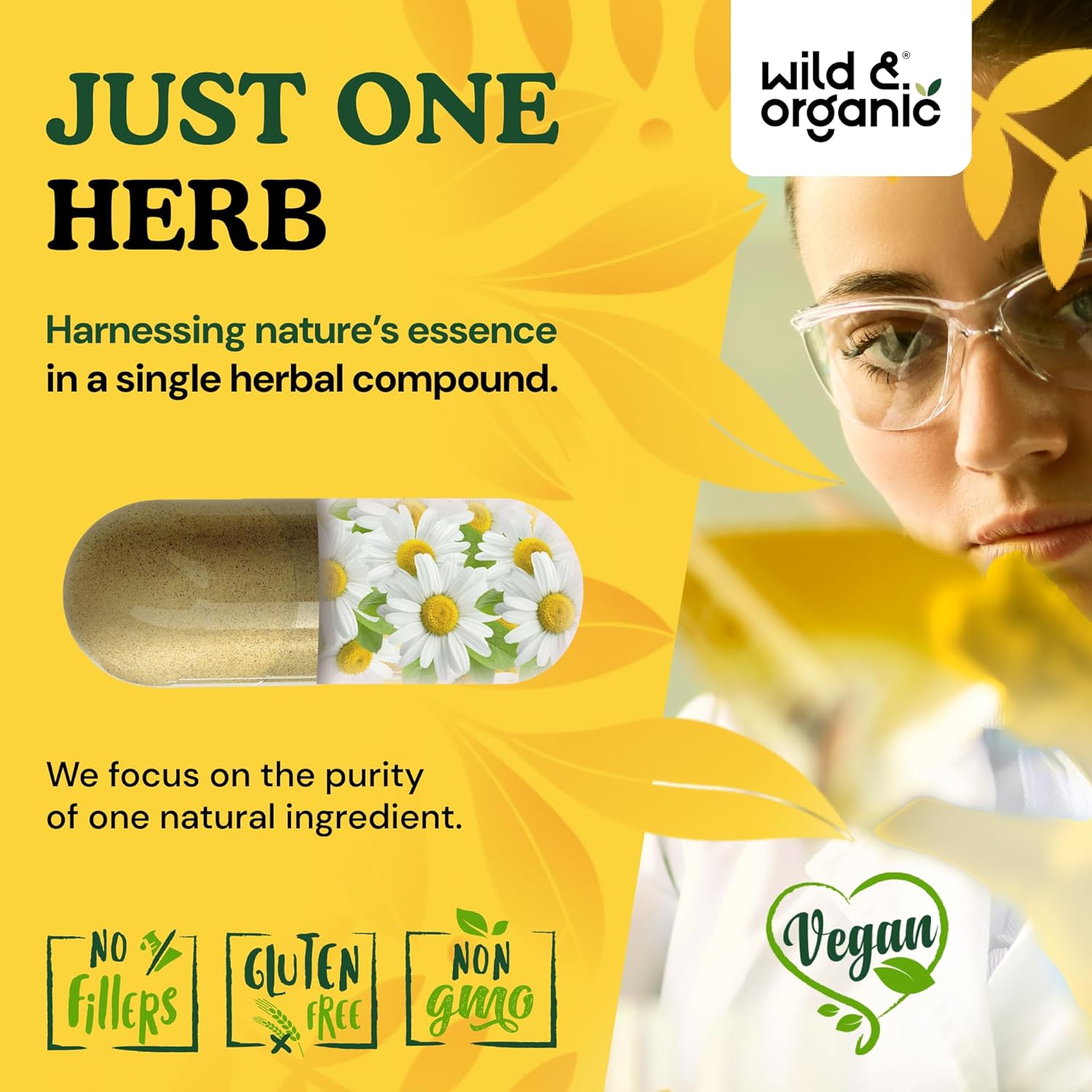 Wild & Organic Chamomile Extract Capsules 800 mg - Relaxation & Digestive Support - Chamomile Powder Supplement - Matricaria Recutita Herb - Vegan, No Fillers, Non-GMO - 180 Count