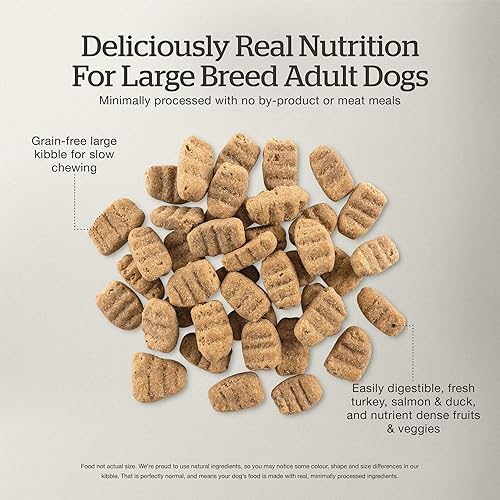 Miniatura 5 de GO! SOLUTIONS Now Fresh - Alimento para perros sin granos, 25 libras, receta de alimento para perros adultos de raza grande, dieta saludable con