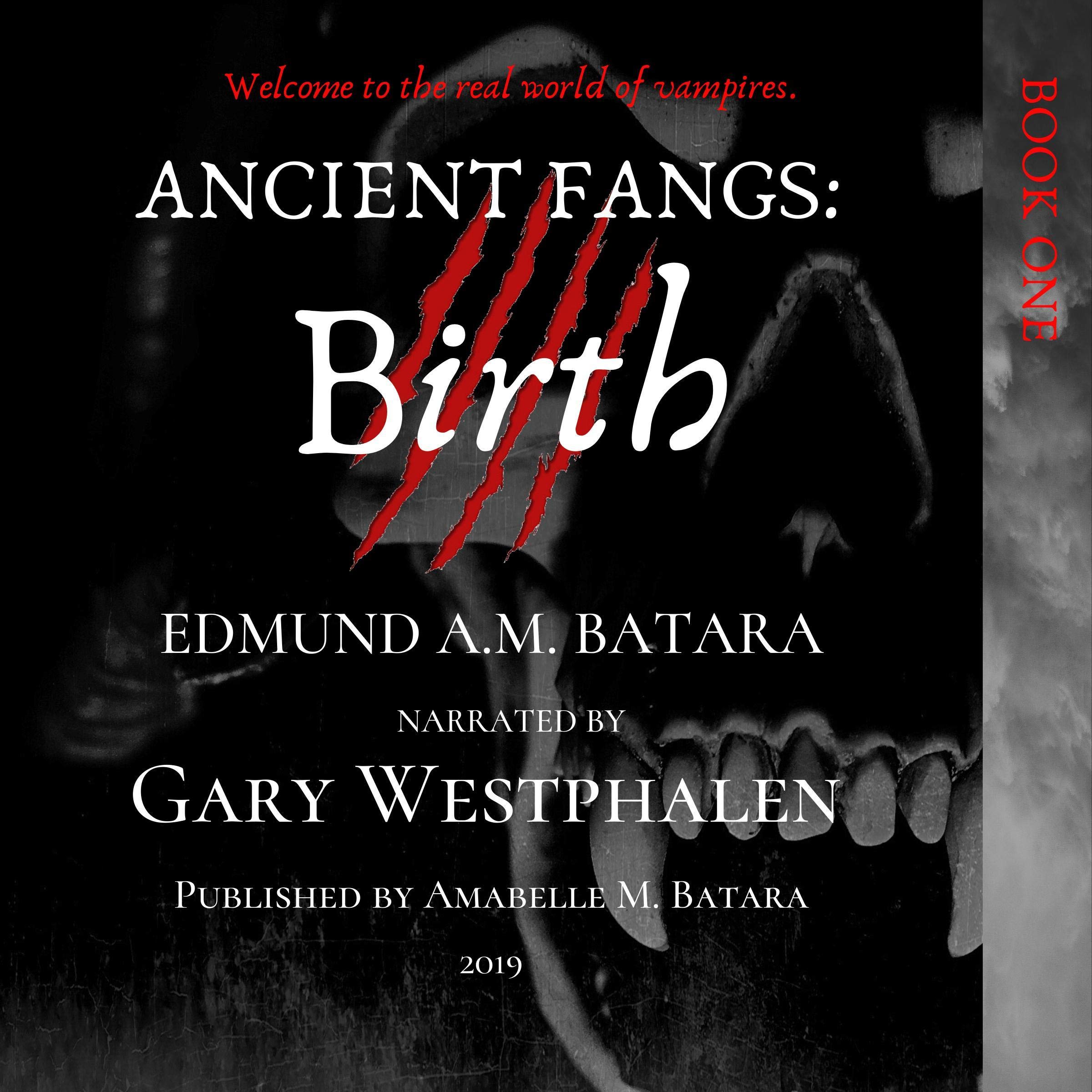 Cover art for Birth