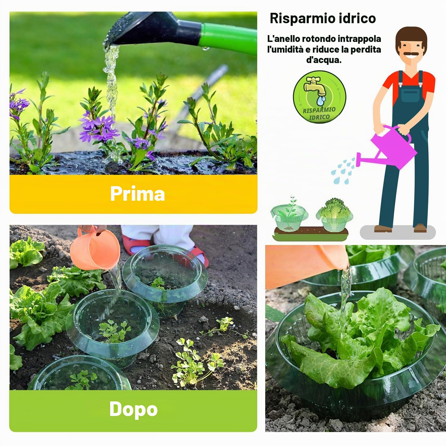 Collare per lumache, per Piante da Insalata e Carbone, Anti-lumache, Senza Prodotti chimici, Collo per lumache, Protegge Le Piante, per Essere più Belle(15 Pezzi)