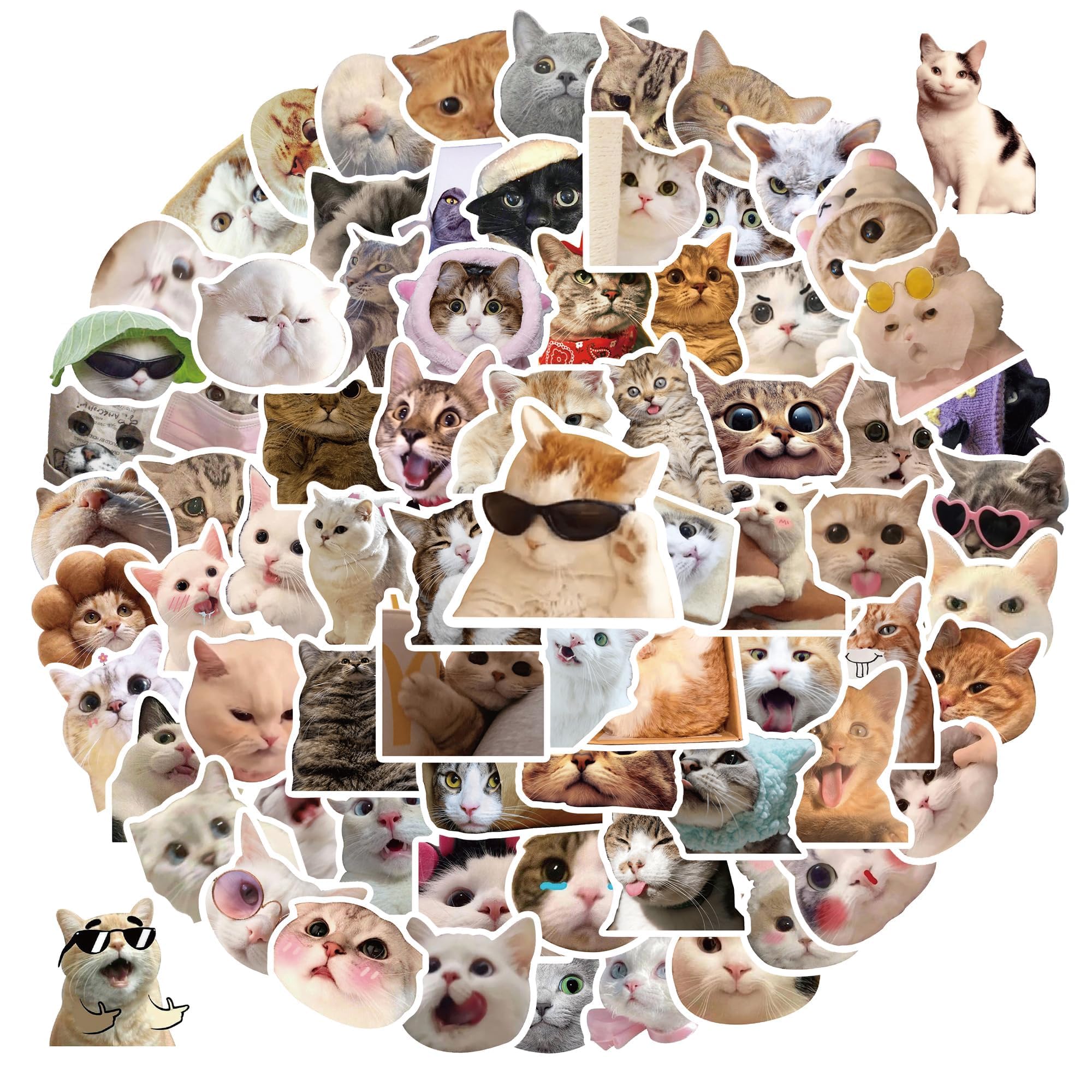 Cat Meme Stickers, 100Pcs Funny Cat Stickers, Cute Cat Stickers Funny Cat Meme, Cat Vinyl Waterproof Stickers for Adults, Teens (100, A)