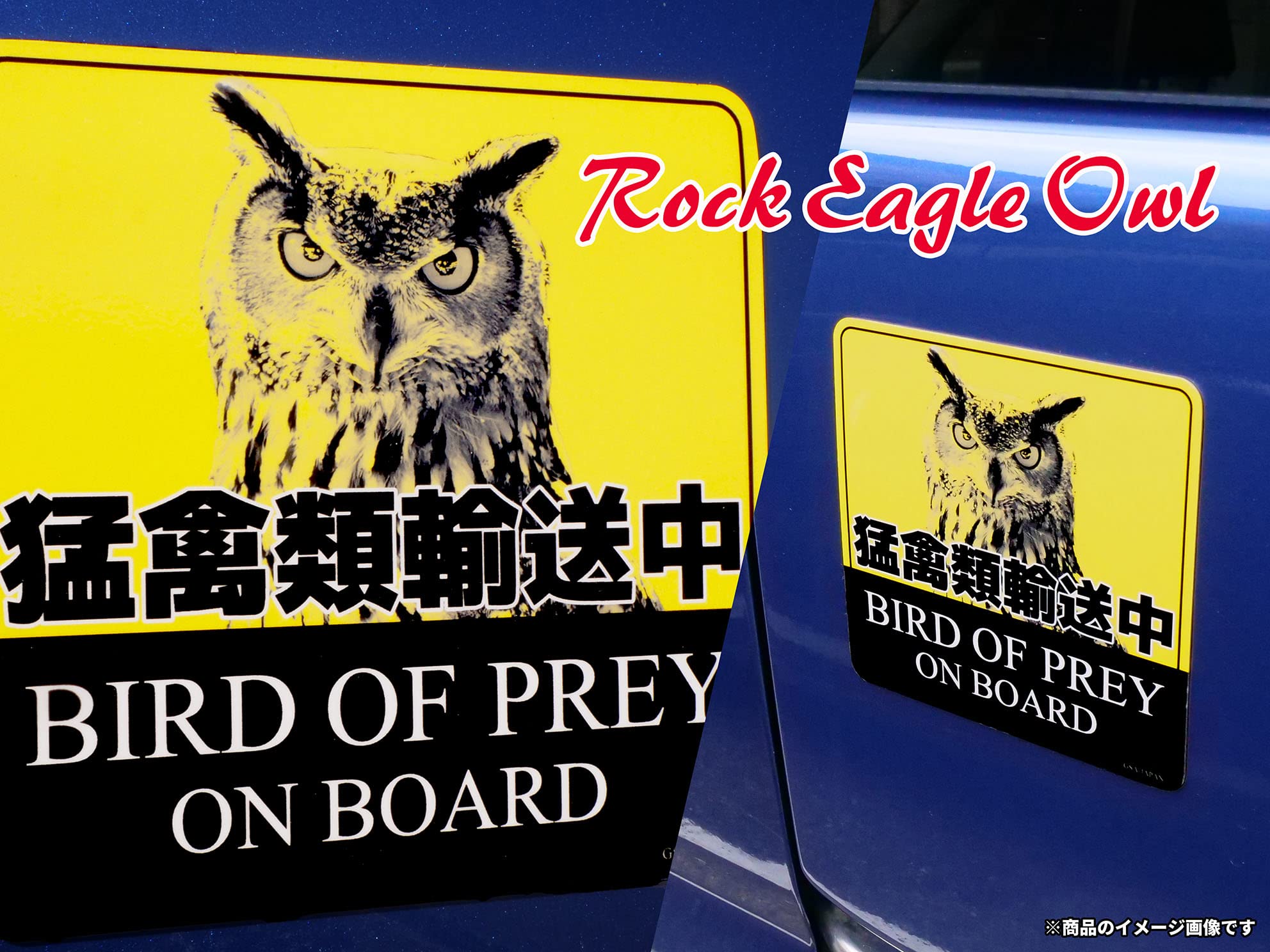 Amazon.co.jp: 猛禽類輸送中 マグネットステッカー 正方形｜BIRD OF