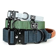 Made to ROAM Premium Dog Collar - Adjustable Heavy Duty Nylon Collar with Quick-Release Metal Buckle New York Afterlight, Classic Size 3