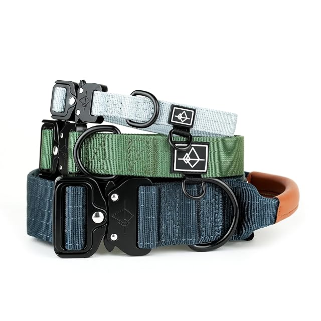 Made to ROAM - Collar para perro de alta calidad, ajustable, de nailon resistente con hebilla metálica…