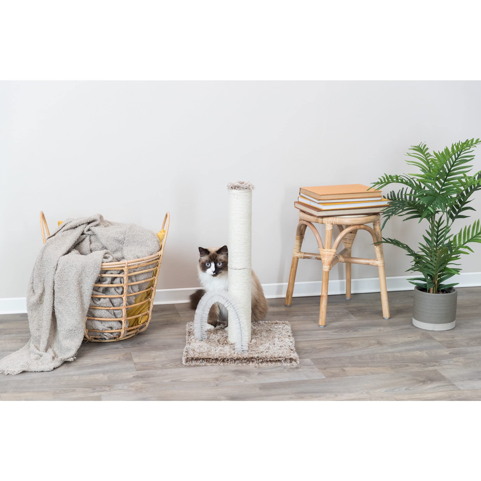 TRIXIE Lola Scratching Post with Grooming Brush, Durable Sisal, 24-in Tall, Brown