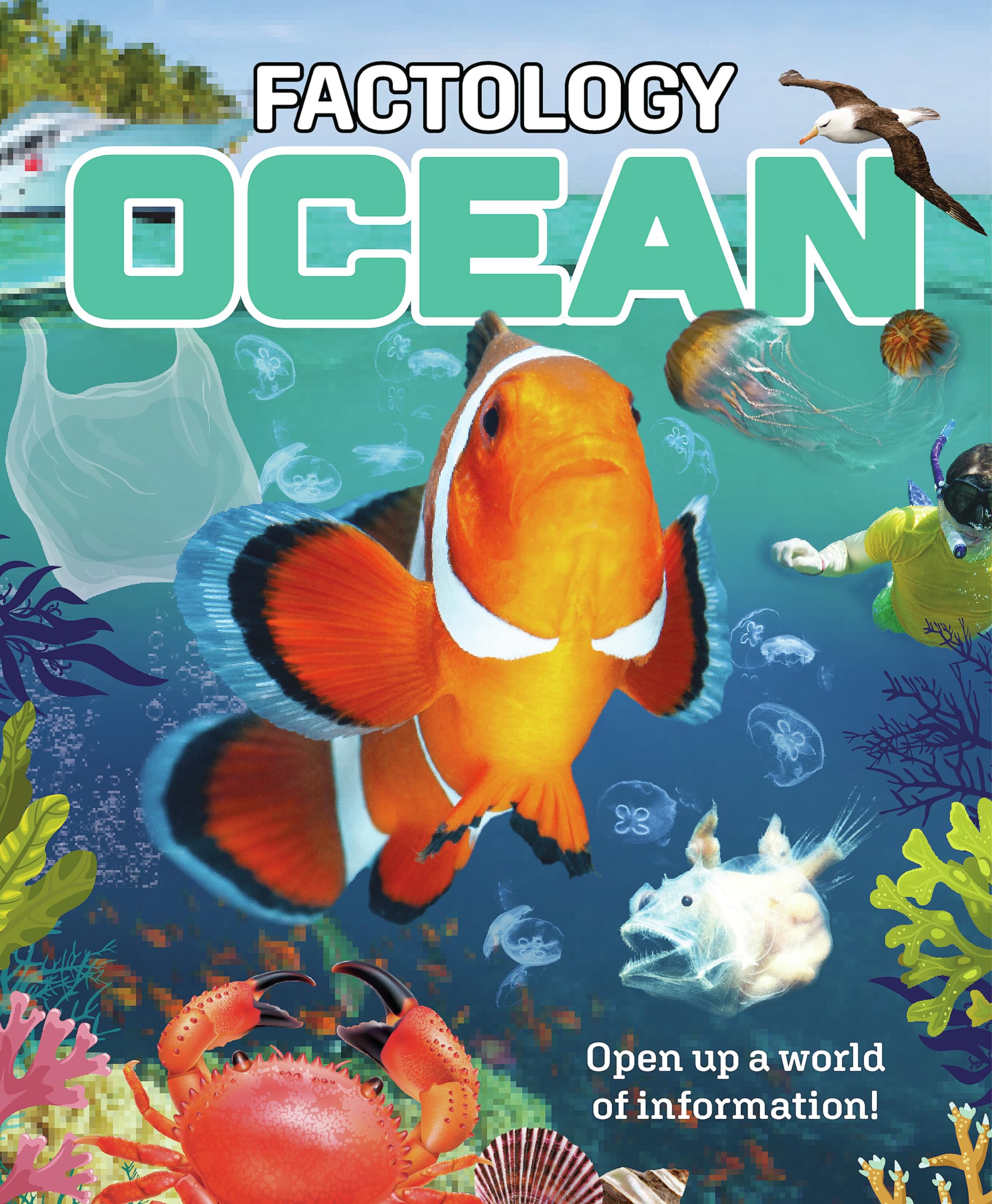 Factology: Ocean: Open Up a World of Information!,Button Books