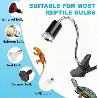 Tortoise Basking Spot Heat Lamp Holder, Reptile UVB Heat Lamp Clamp Stand(with 50W 2Pack Bulb), UVA UVB Basking Light Fixture Holder for Tortoise, Beared Dragon, Lizard, Snake, Size L [Energy Class E]