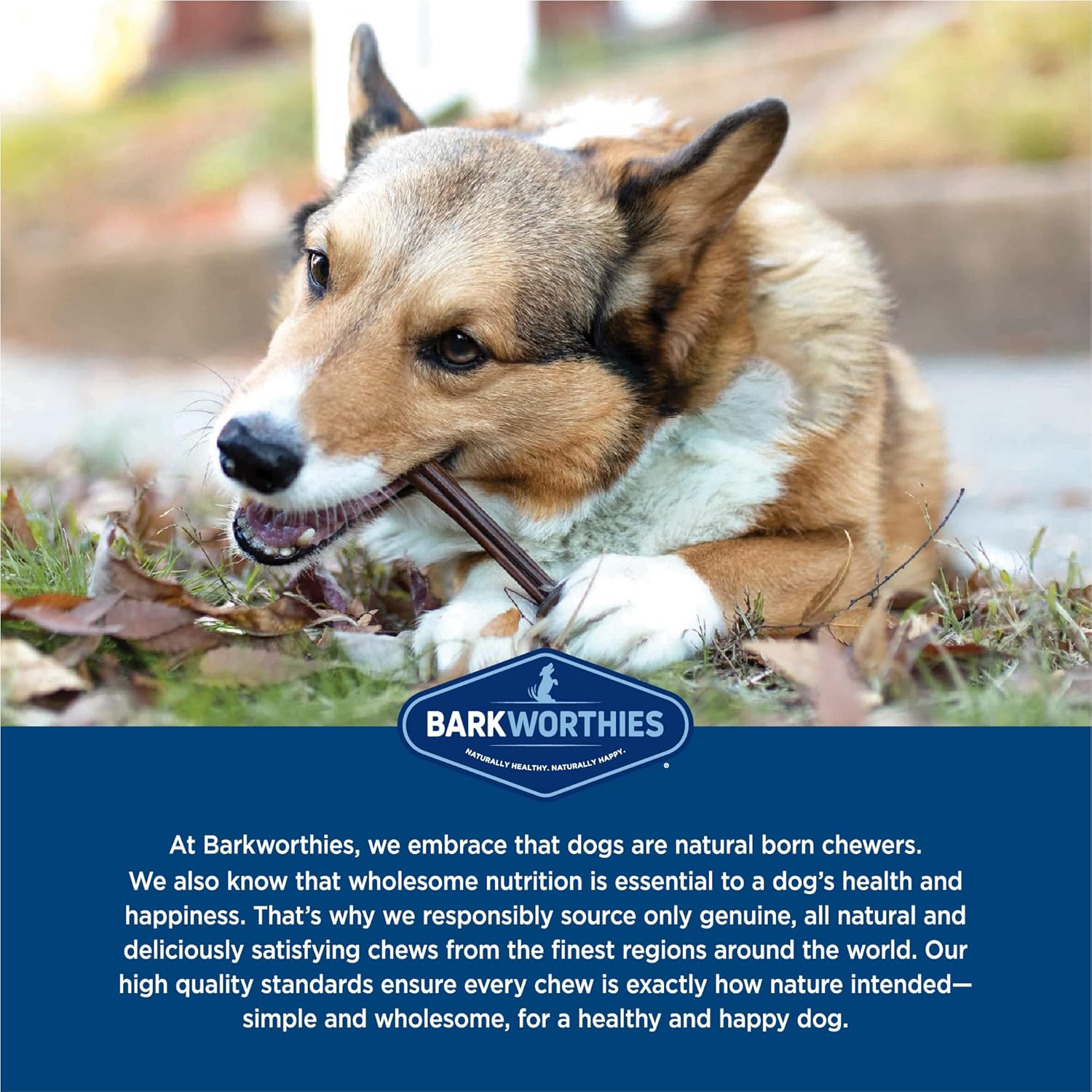 Barkworthies Little Barkers Odor Free 4-Inch Bully Stick