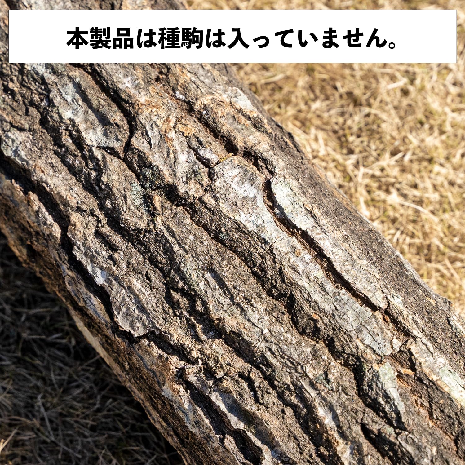 Amazon | きのこ栽培用コナラ原木3本セット 原木 原木シイタケ 原木