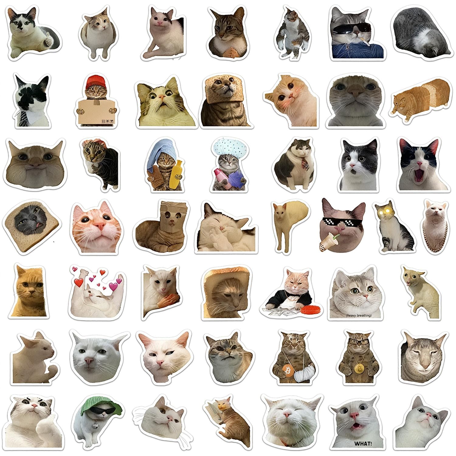 Hopzab 50Pcs Funny Cat Stickers Set,PVC self-Adhesive Label Cute Kawaii Decals for Cat Lovers, Aesthetic Stickers for Water Bottles, Laptops, Scrapbooks, Phones, Skateboards, and Luggage
