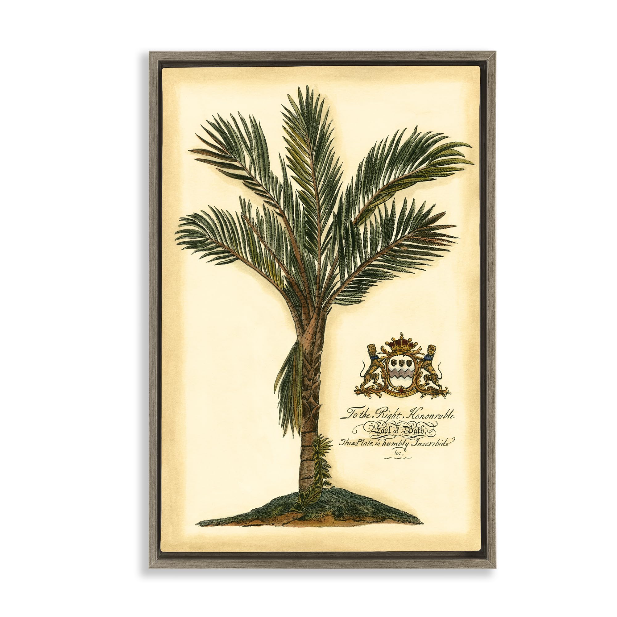 Stupell Industries Montalcino Elm (Textured) 'Vintage Colonial Palm'| Floating Frame Canvas Art