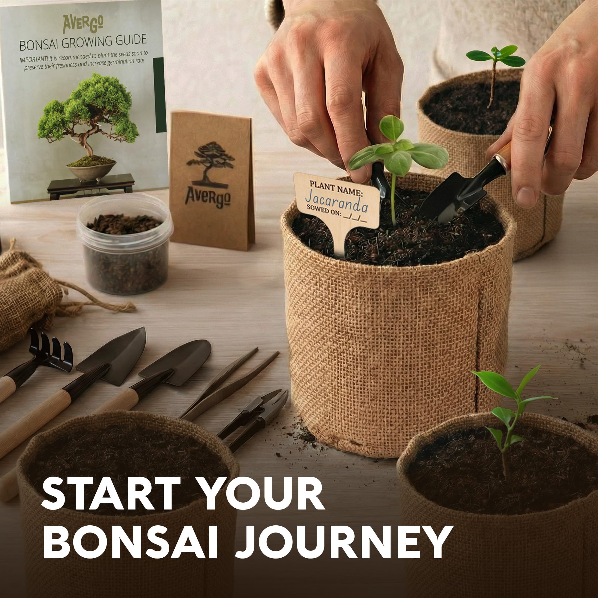 Avergo - Kit de árbol bonsái – 5 árboles de bonzai japoneses únicos | Kit completo de inicio para el cultivo de plantas de bonsái con herramientas y macetas, regalos de jardinería para mujeres y
