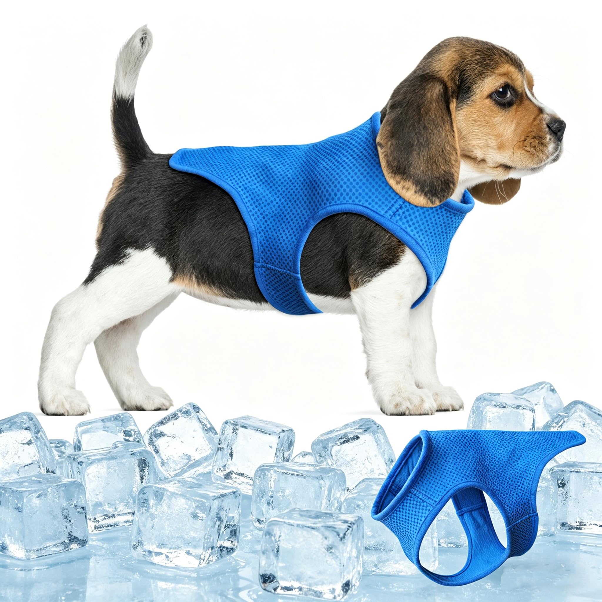 Valicaer Dog Cooling Vest for Summer,Ice Cooling Breathable Lightweight Cool Coat Jacket for Small Medium Large Dogs Outdoor Hiking and Training (Blue, S)