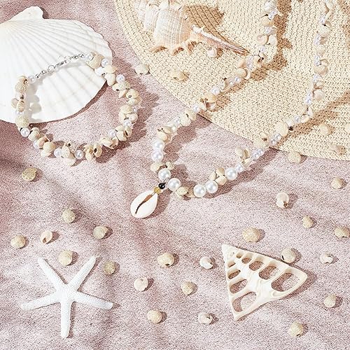 Vista 11 de PH PandaHall Pequeñas conchas marinas, 6.70 oz de colores en espiral de océano, playa, conchas marinas, sin agujero, pequeñas conchas turbo