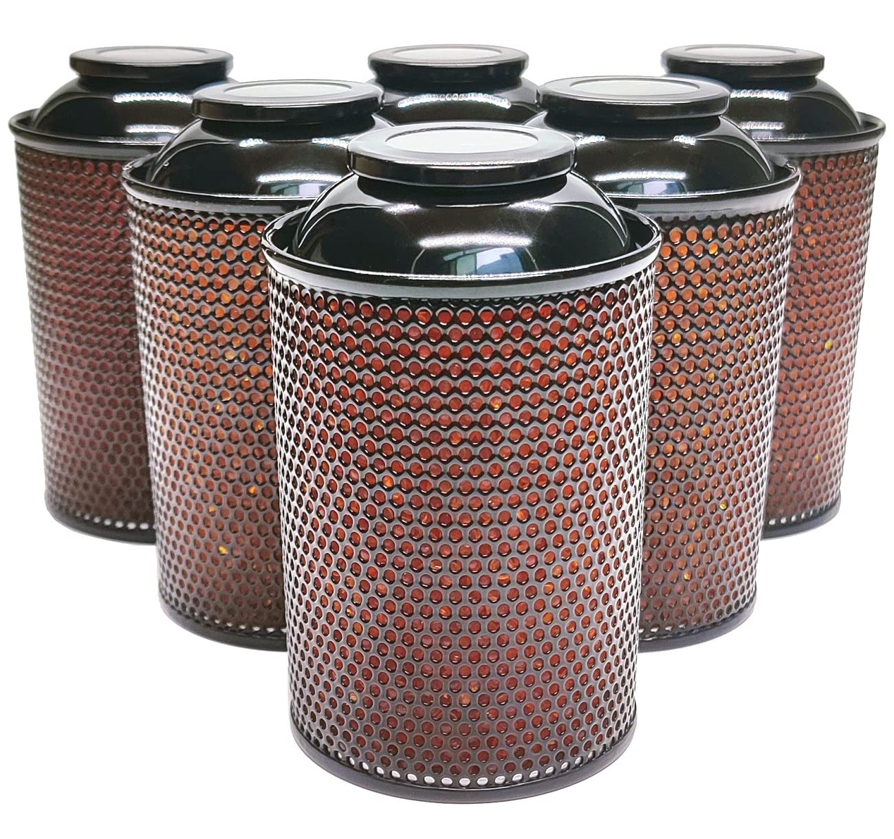 Gun Safe Dehumidifier, Moisture Absorbers, TOAAOT 200g Silica Gel Canister for Gun Case, Tool Box (6 Units)