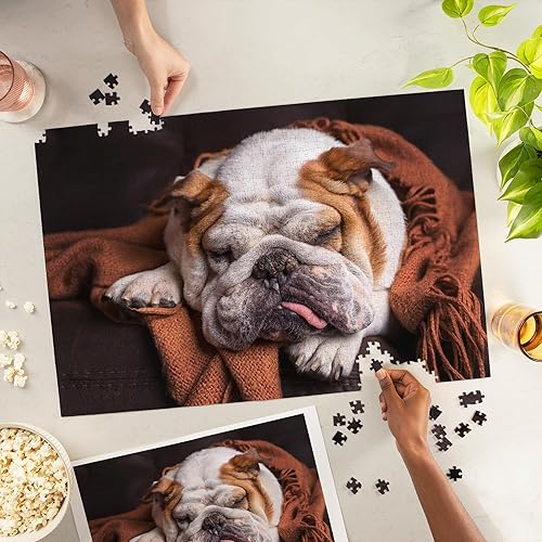 Miniatura 2 de Lantern Press Rompecabezas de 1000 piezas, Bulldog inglés durmiendo en el sofá Fotografía A-90753
