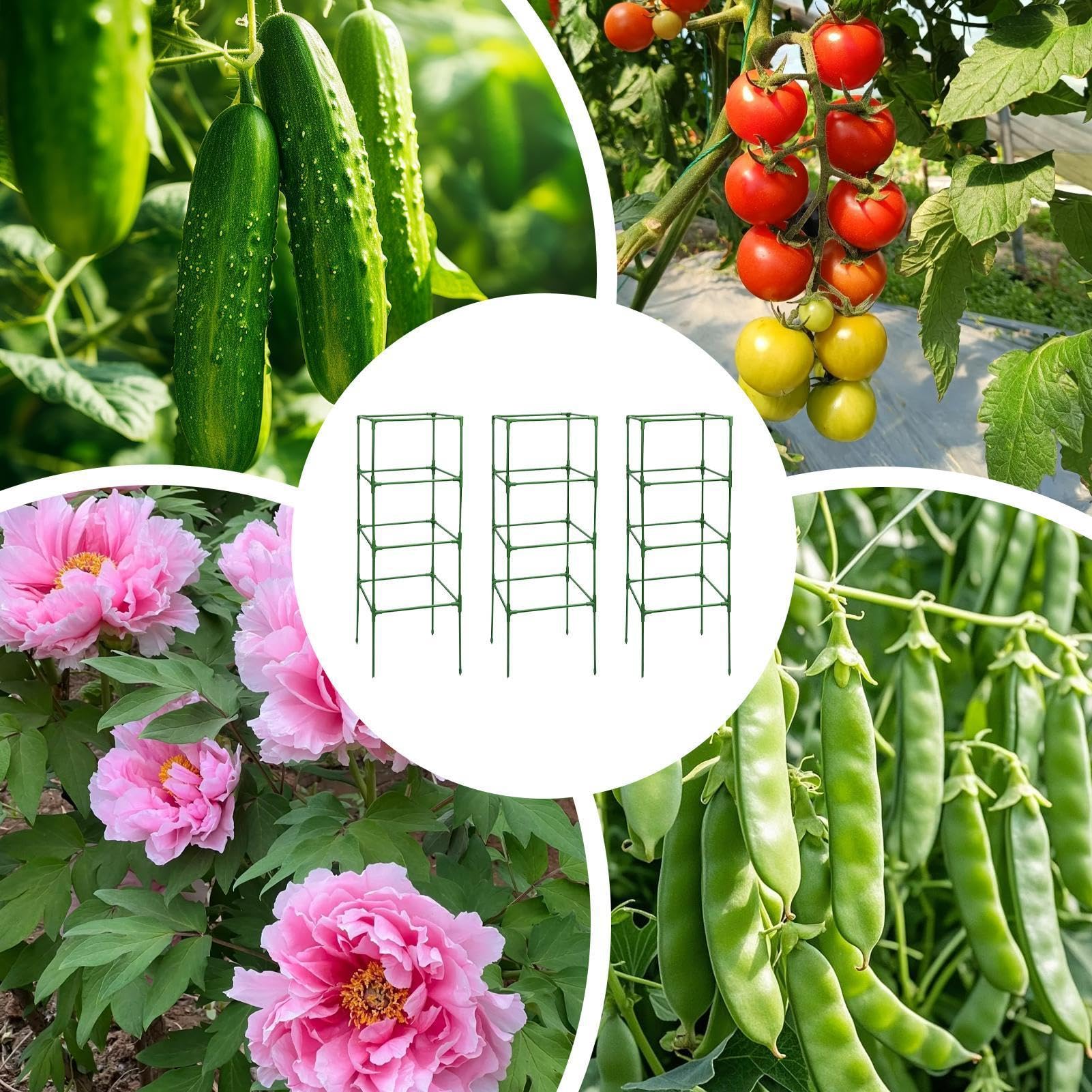 Entutorado para Tomates Soporte Cuadrado Ajustable en Altura de 3 Piezas | Tutor de Plantas Resistente para Judías Pepinos Verduras Rosas Peonías Macetas Bancal Elevado Jardín Patio Césped