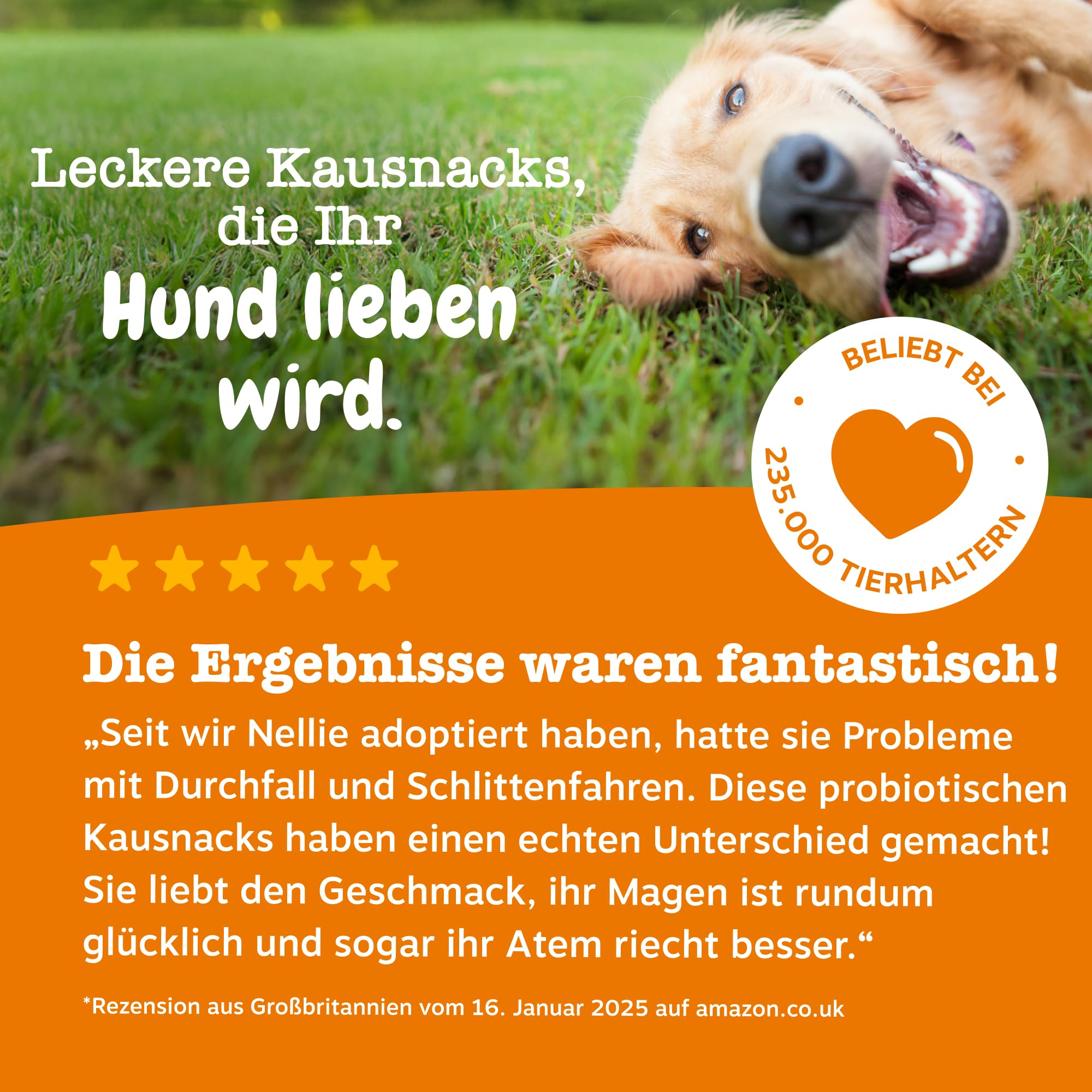 Zesty Paws Probiotika für Hunde – Unterstützt Darmflora, Verdauung & gegen Mundgeruch – Mit Pre-, Pro- & Postbiotika, Kürbis & Leinsamen – Tägliche Anwendung – 90 Kauleckerlis