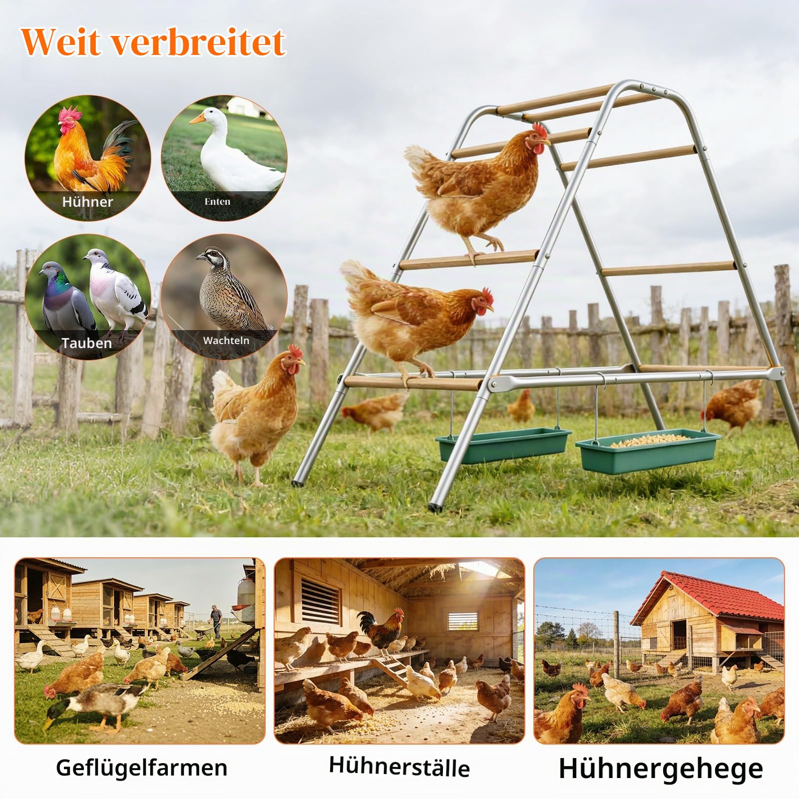 Hühnerstall Spielset, Sitzstangen für Hühner, Kombiniertes Hühnerspielzeug | Für Artgerechte Beschäftigung, Sitzstange aus Holz, Doppelleiterklettern und Füttern, für Hühnerstall und Hinterhofgeflügel