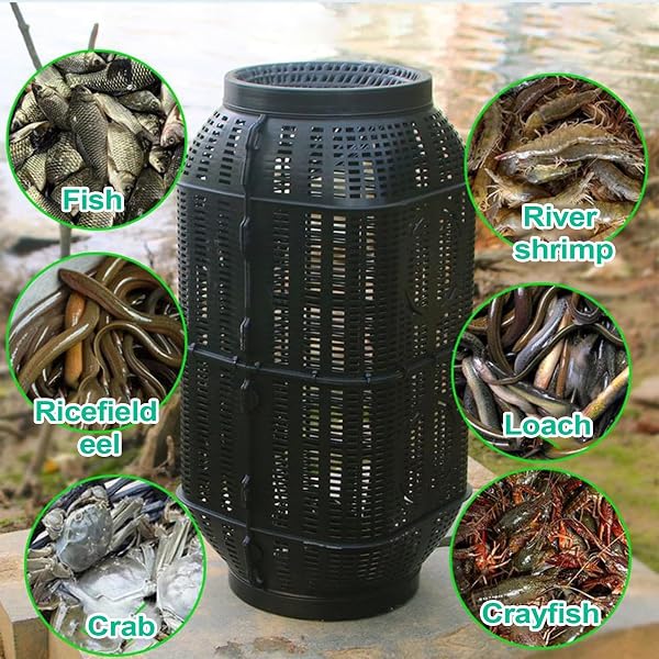 Piège À Poisson Avec Trous Durable 35/50cm Nasse A Ecrevisses Portable Facile À Utiliser Outil Filets De Pêche Et Corde En Nylon De 6 Mètres Pièges Crabe Et À Écrevisses Pour Les Lacs Pour Attraper - 4
