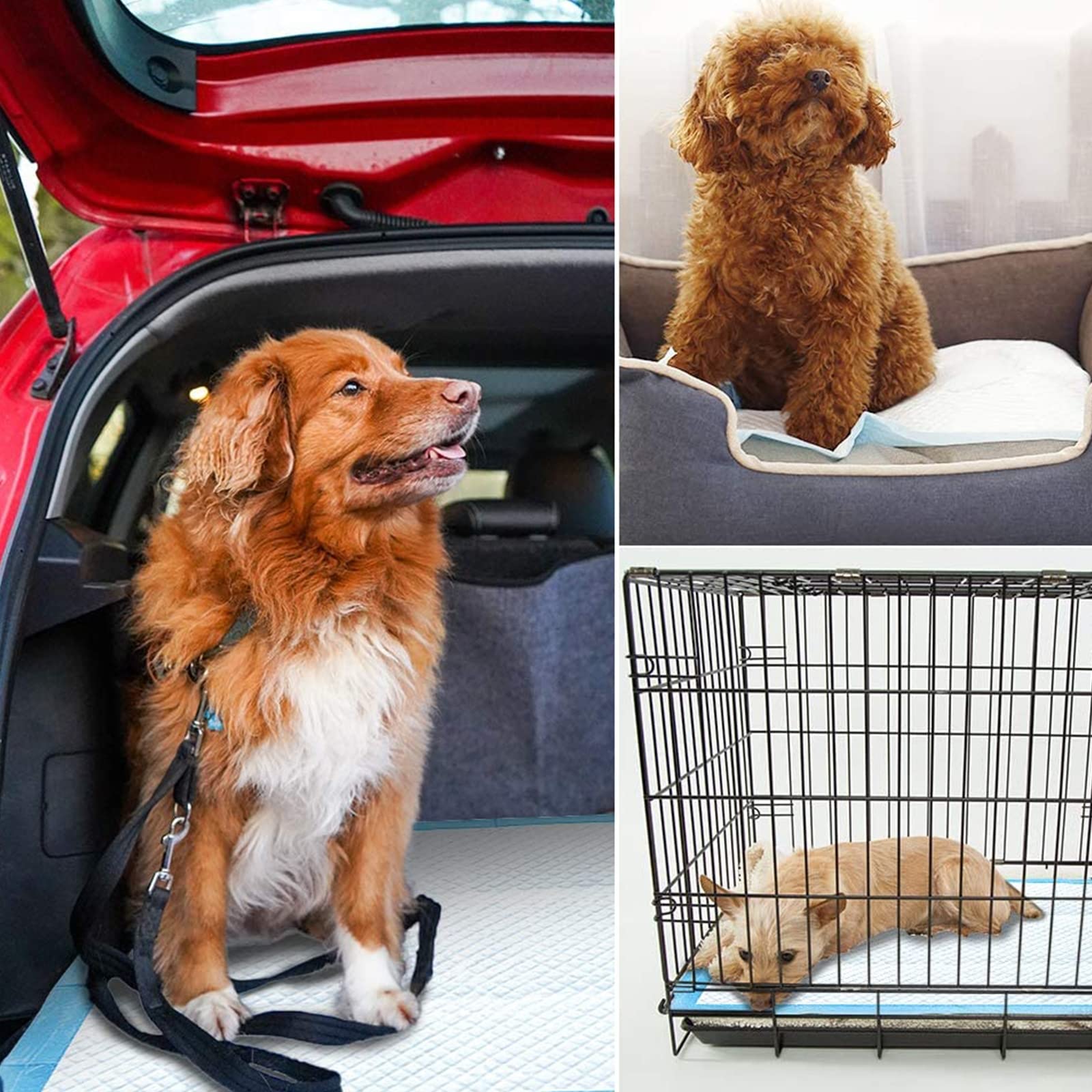 Empapadores para Perros, Alfombrillas Higiénica Desechables para Mascotas,Toallitas De Entrenamiento para Mascotas,Súper Absorbente Empapadores para Perros