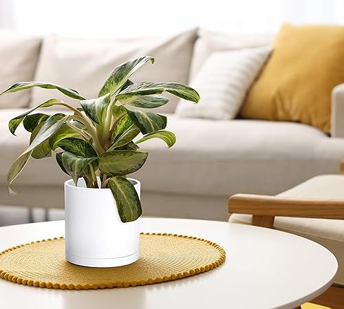 Miniatura 16 de D'vine Dev Paquete de 2 macetas de plástico modernas de 6.5 pulgadas, macetas de jardín pequeñas para plantas con agujeros de drenaje y platillos