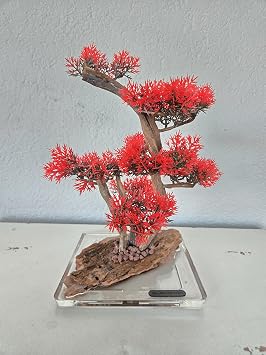 El Yap m  Masa Bonsai Dekor | Epoksi Zeminli Premium Mini A a  | Ofis & Ev Masa st  Do al Dekor | Hediyelik El Yap m  Bonsai 3 Renk Varyant  K rm z