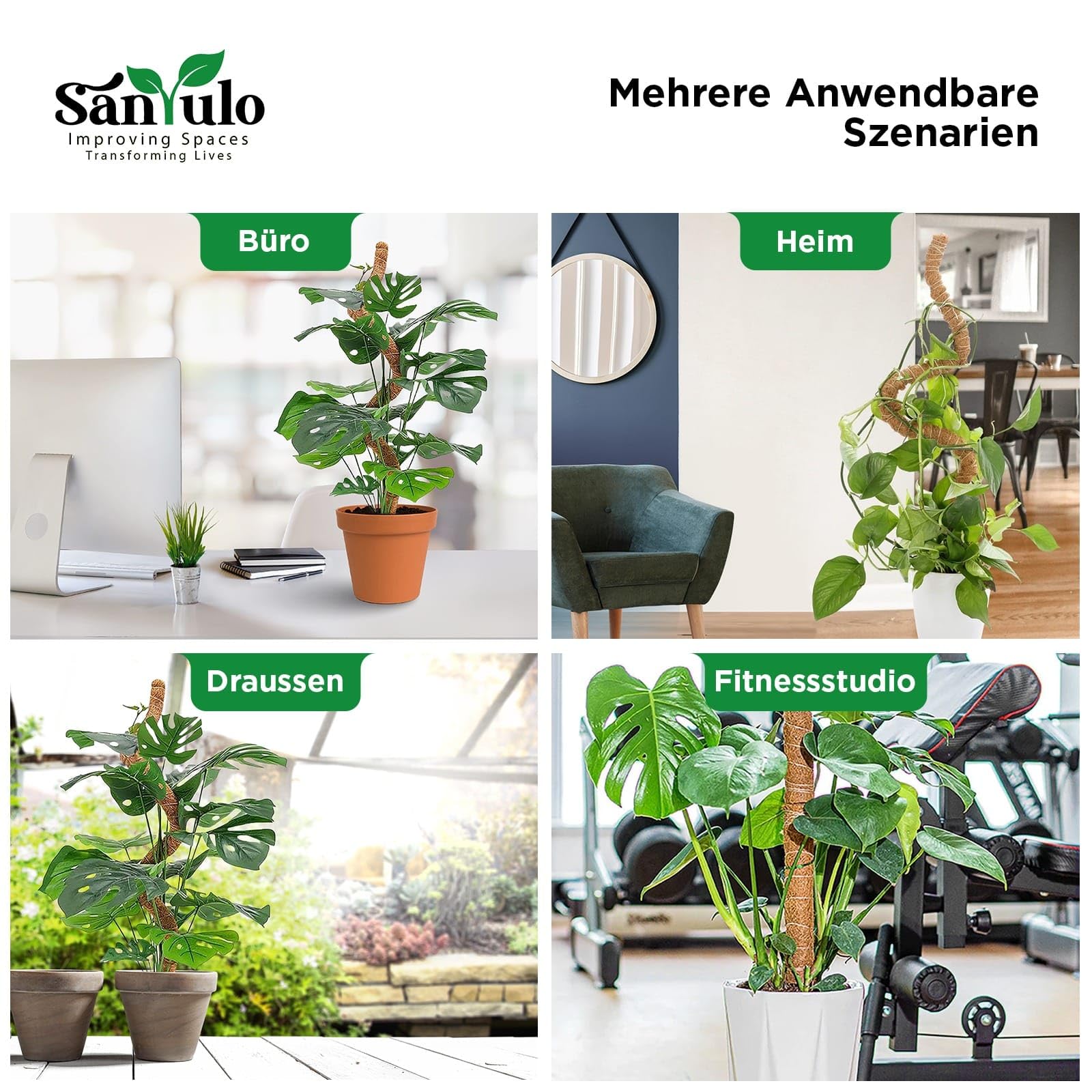Sanyulo 2er-Set Moosstab 60 cm Kokos-Rankhilfe Rankstab fr kleine &  mittelgroe Kletterpflanzen wie Monstera, Philodendron & Efeutute, inkl.  Gartenwerkzeug-Set & E-Book. Pflanzenstab Zimmerpflanzen : Amazon.de: Garten