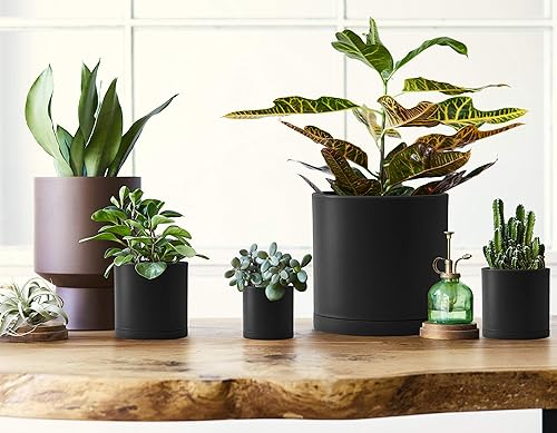 Miniatura 7 de D'vine Dev Paquete de 10 macetas de plástico para plantas, macetas cilíndricas para suculentas de interior de 6.565.54.543.532.52 pulgadas con