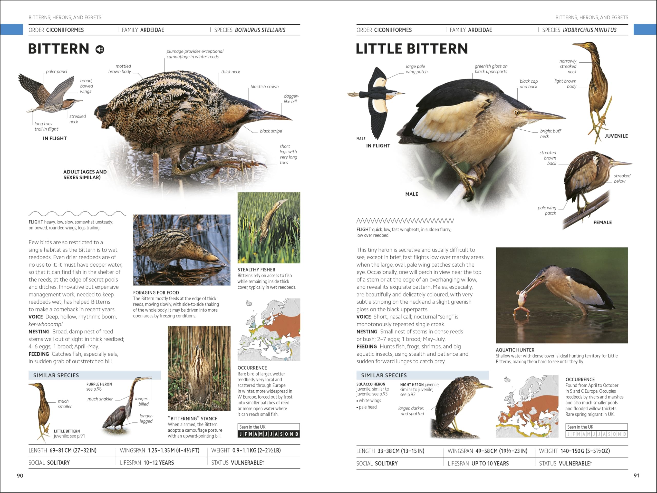 RSPB Birds of Britain and Europe: The Definitive Photographic Field Guide