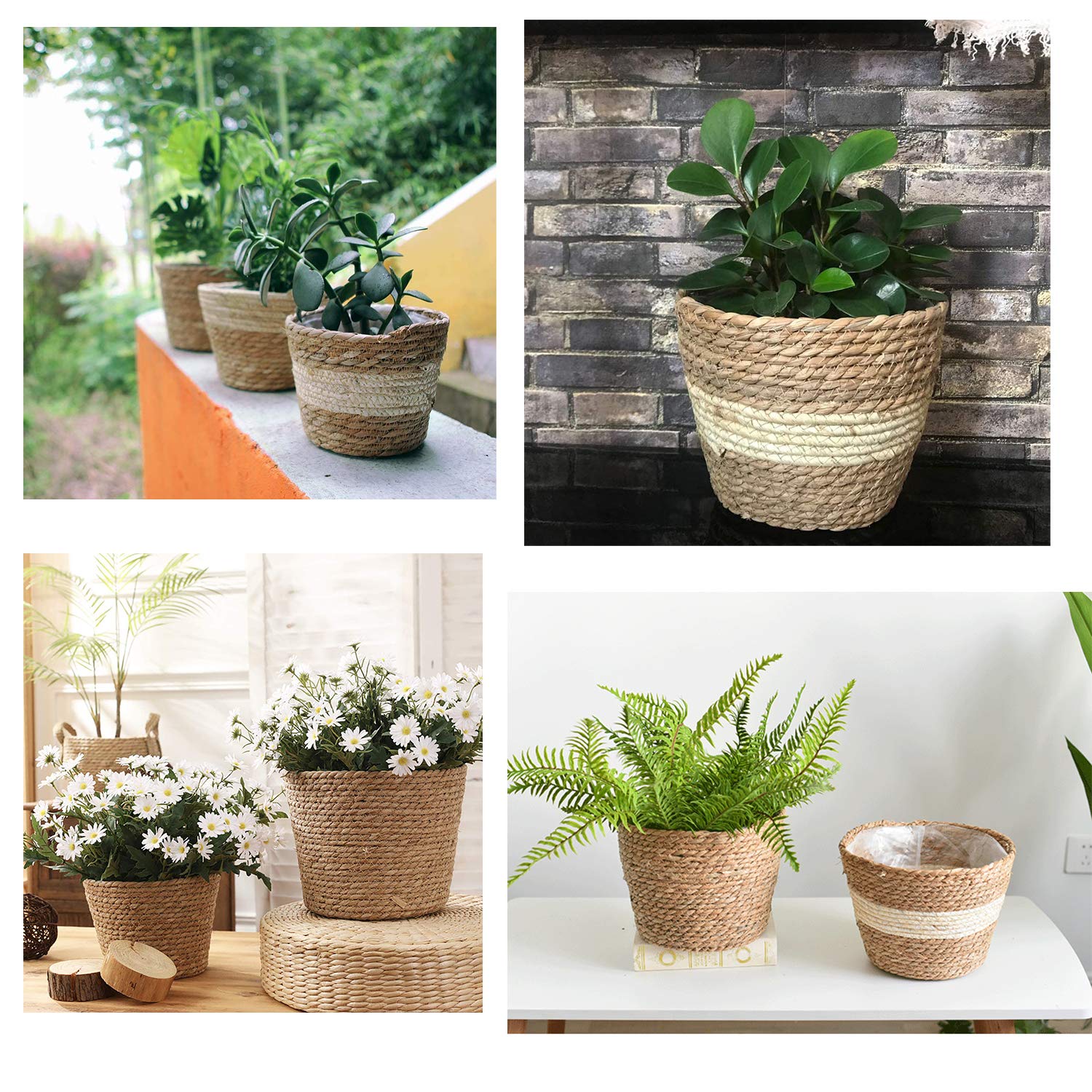 Panier en jonc de mer Paniers à Plantes Panier à Fleurs Pot à Fleurs Panier à Plantes Pots à Plantes Pots à Plantes Panier de Rangement 18cm Lot de 2 pour l'intérieur et l'extérieur