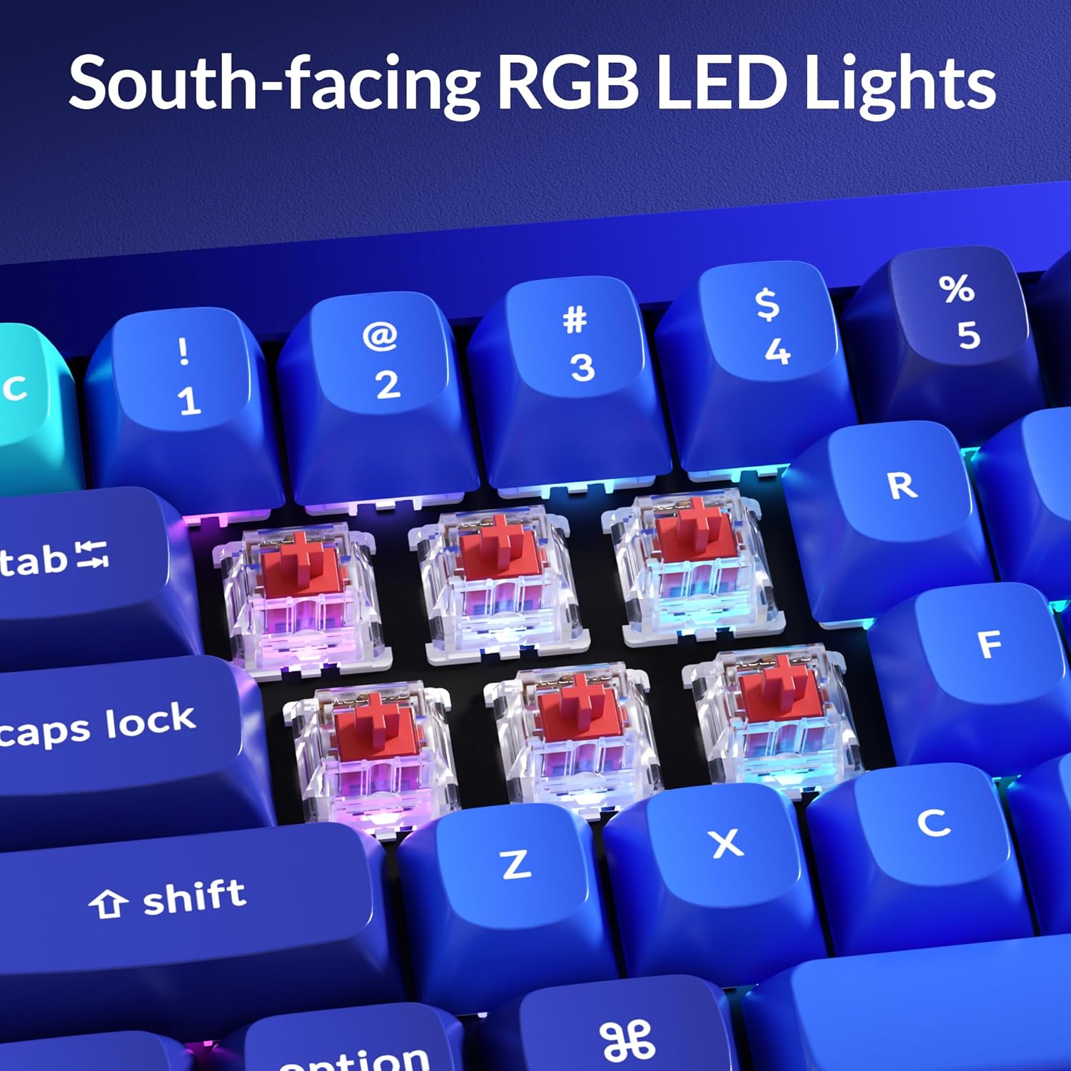 Keychron Q4 Wired Custom Mechanical Keyboard, 60% Layout QMK/VIA Programmable Macro with Hot-swappable Gateron G Pro Red Switch Double Gasket Compatible with Mac Windows Linux (Navy Blue)