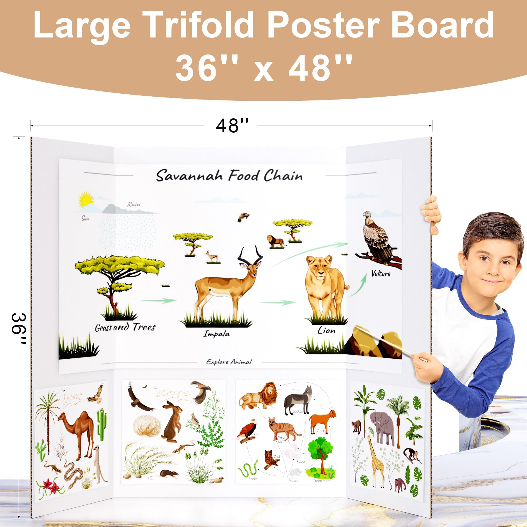HAUTOCO Lot de 4 grands tableaux d'affichage à trois volets de 91,4 x 122,9 cm en carton ondulé blanc pour foires scientifiques, projets scolaires, présentoirs d'événements, affaires