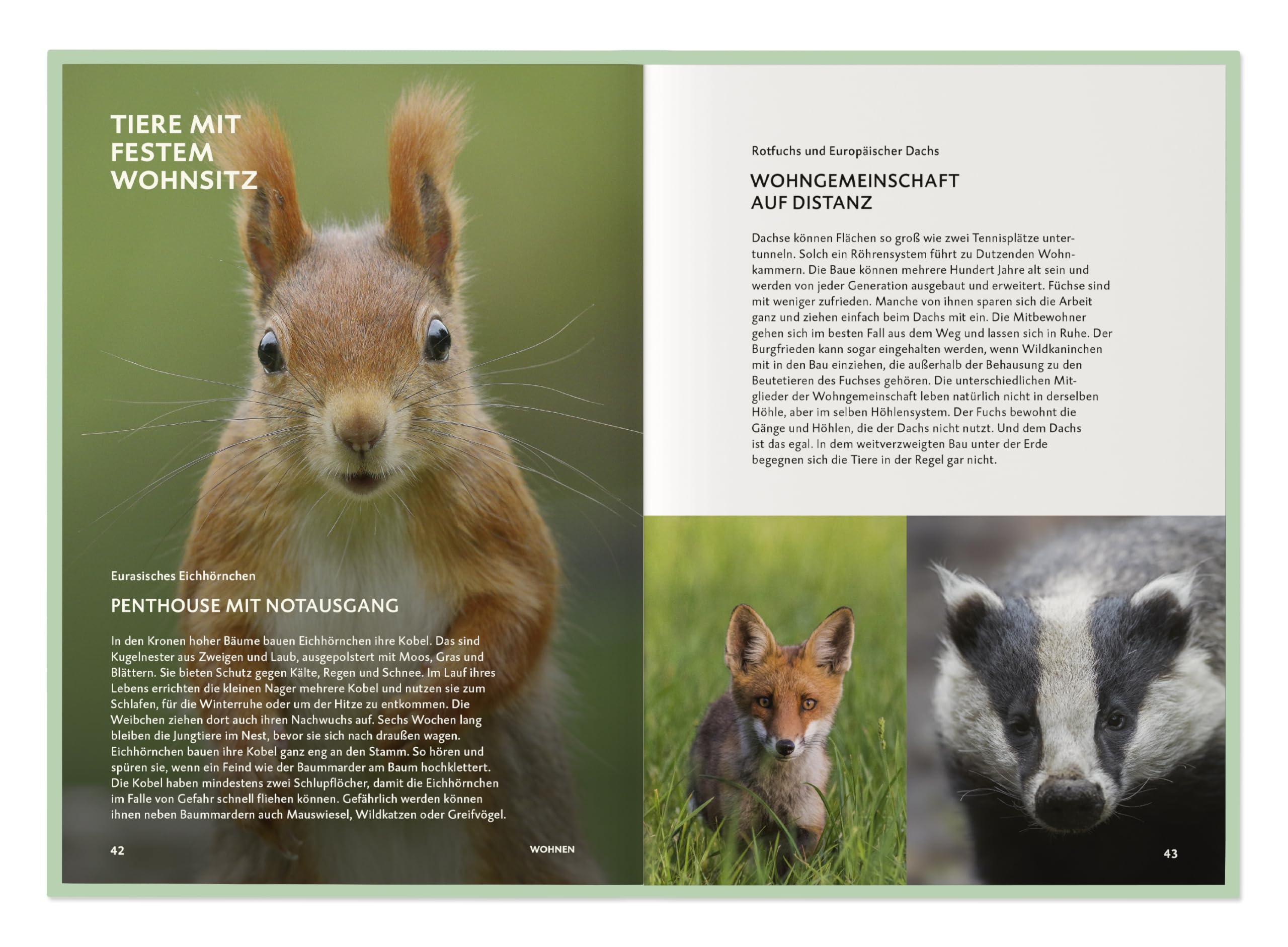 Die Botschaft der Wildtiere: Lebensweisen und Lebenswelten unserer heimischen Wildtiere