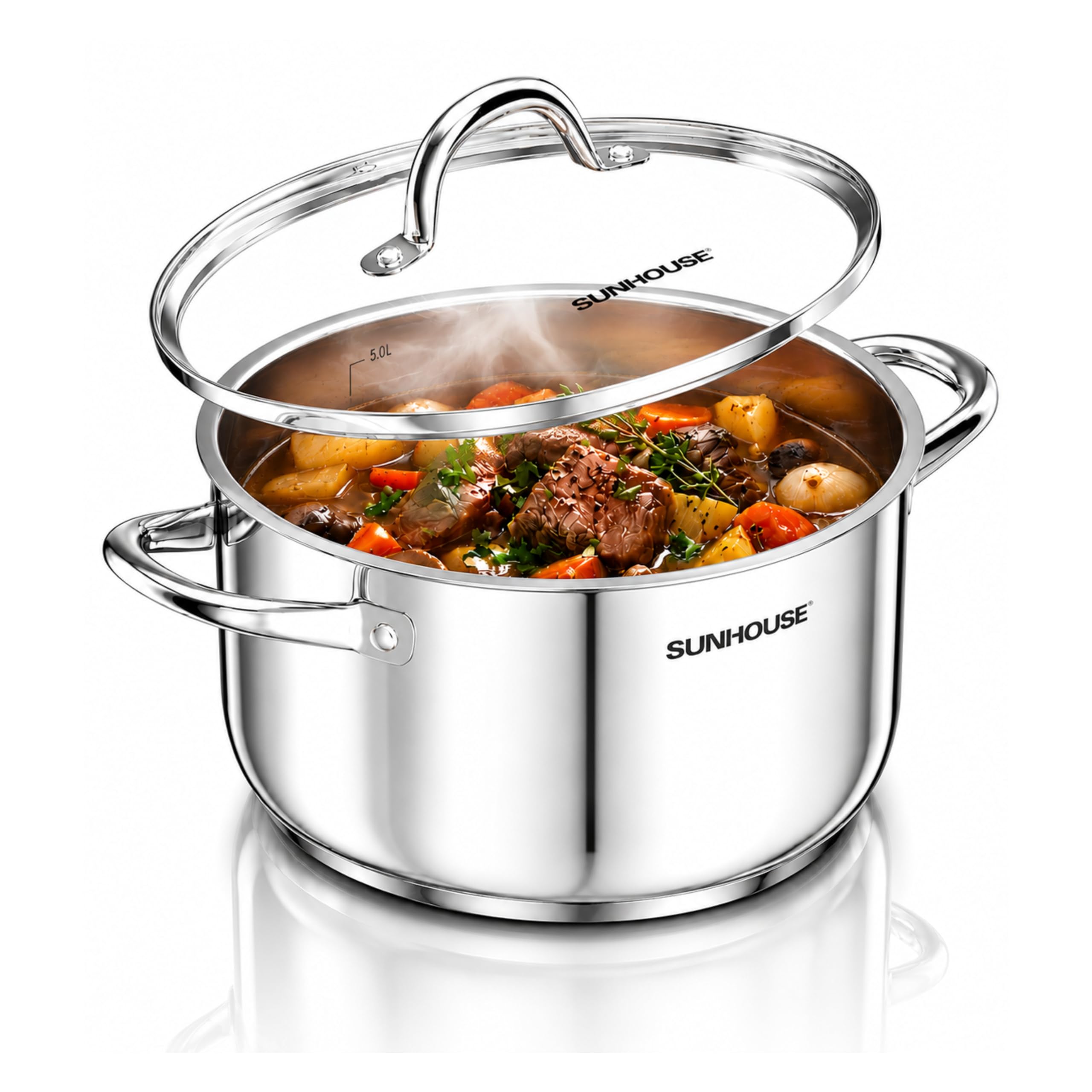 Sunhouse Stock Pot