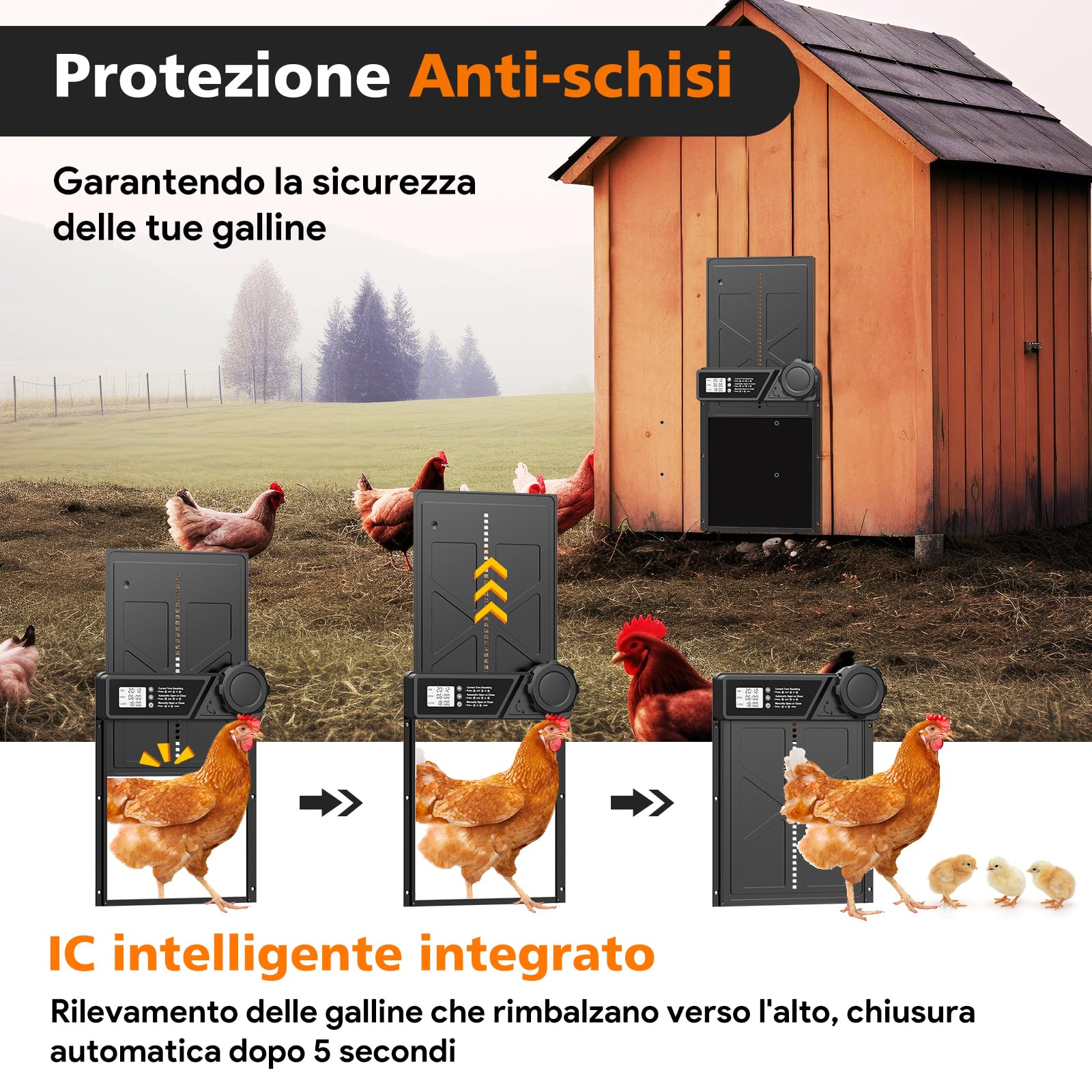Porta Automatica per Pollaio Grande con Display, Alluminio con Timer di Ritardata Serale e Mattutina, Anti-Pizzicamento, Nero