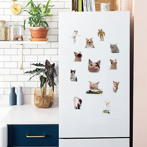 Miniatura 4 de Pounchi Cat Memes - Imán divertido (12 paquetes), divertido imán para parachoques, gabinetes de oficina, nevera, imán de metal, flexible,