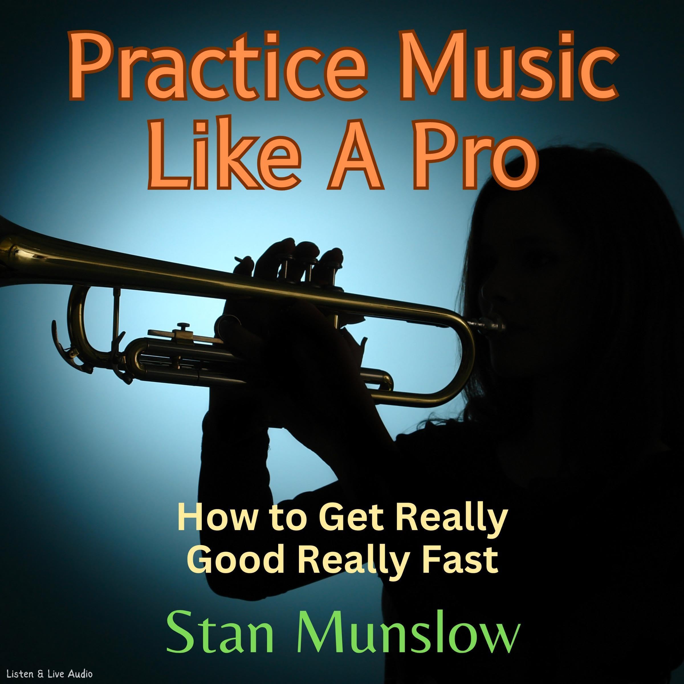 Cover art for Practice Music Like a Pro