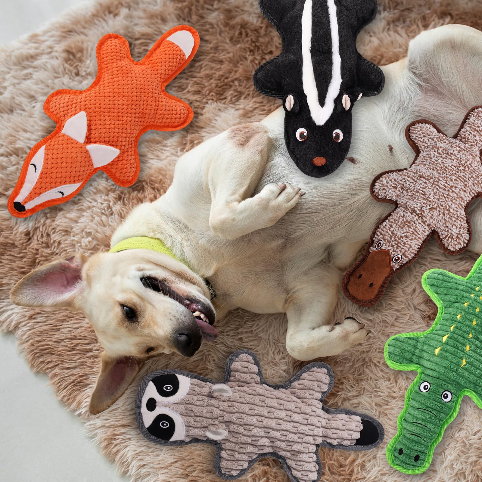 Juguetes chirriantes para perros, Regalos para Mascotas, Paquete de 5 Juguetes Arrugados de Felpa, Sin Relleno para Perros Pequeños, Medianos y Grandes