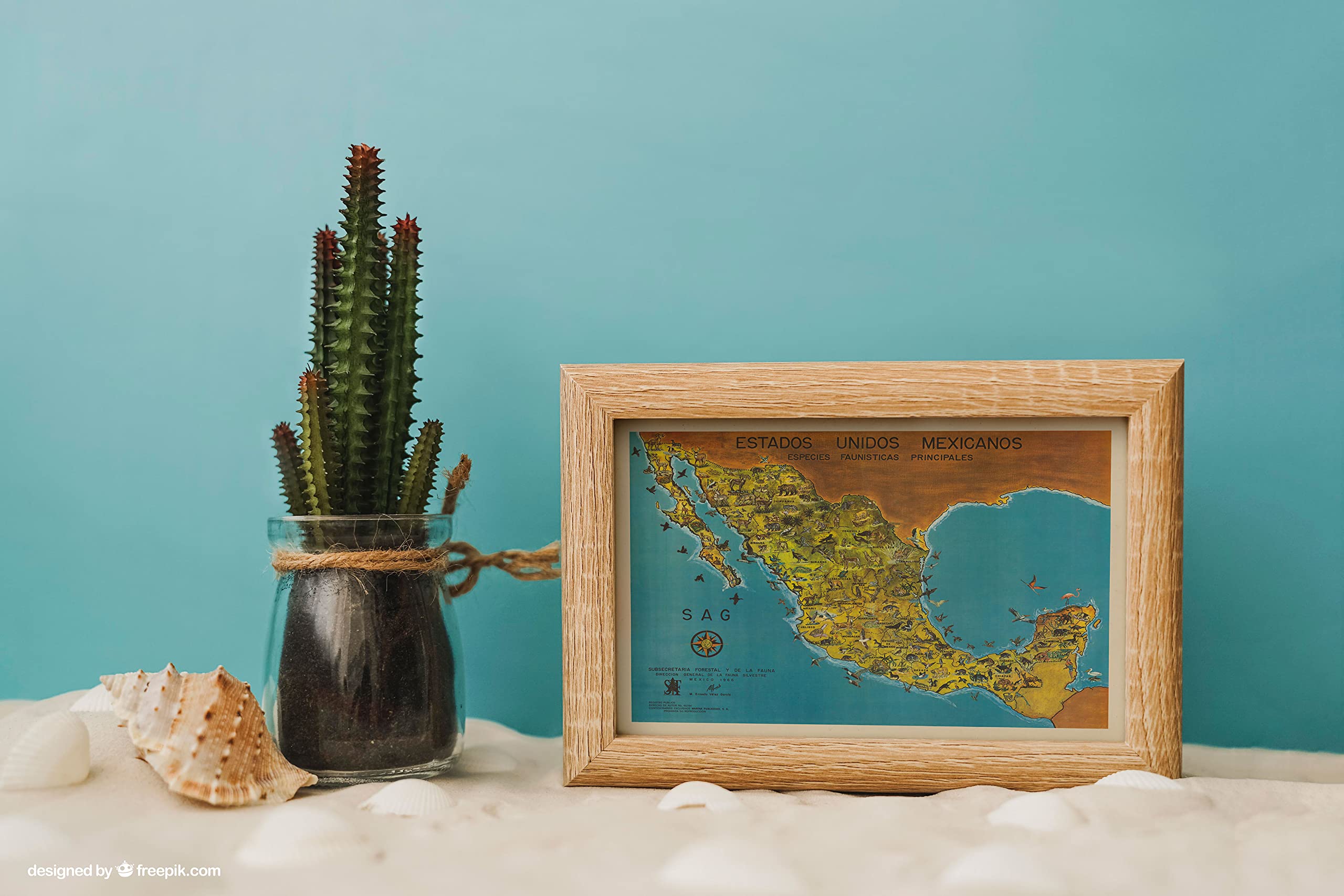 Amazon.com: Pictorial Map of the United Mexican States circa 1966