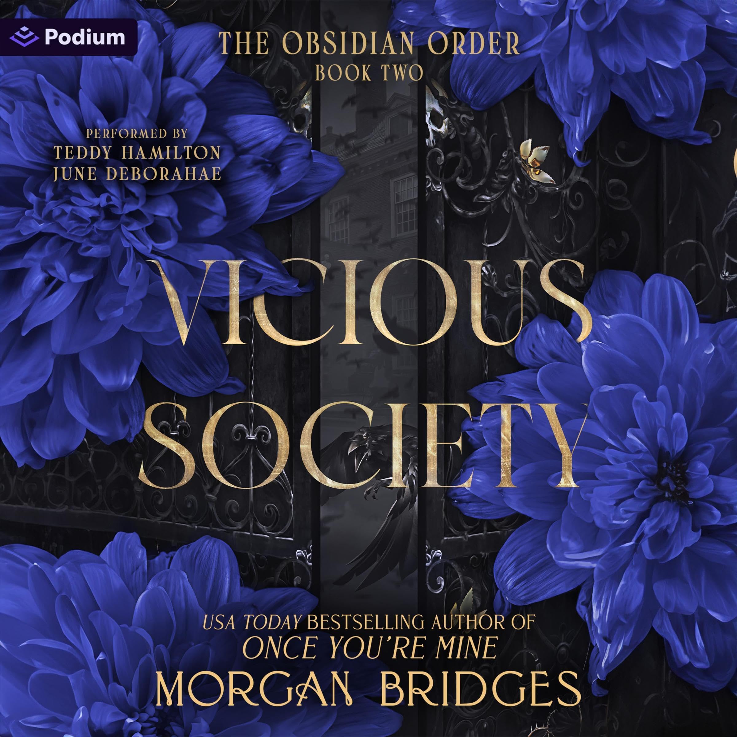 Cover art for Vicious Society