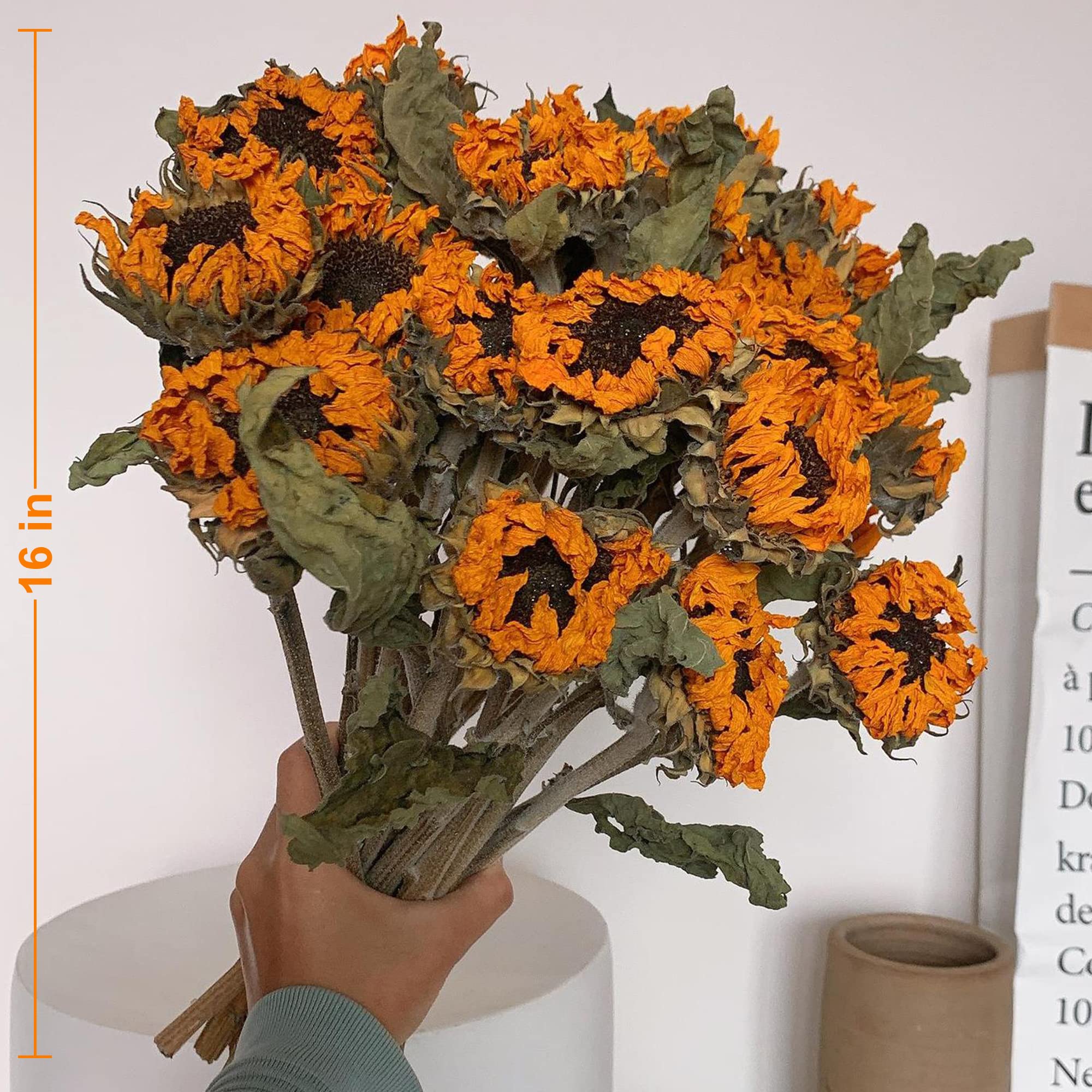Amazon.co.jp: ヒマワリブーケ 8個 まとめ買い ドライフラワー 本物の